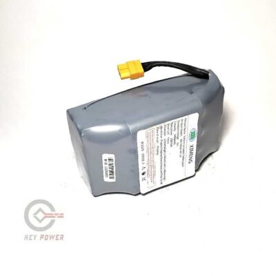 باتری اسکوتر برقی