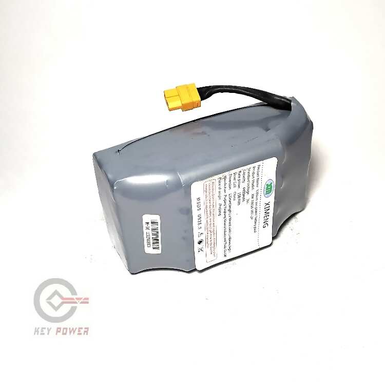 باتری اسکوتر برقی