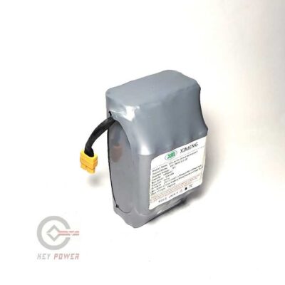 باتری 36 ولت 4.4 آمپر